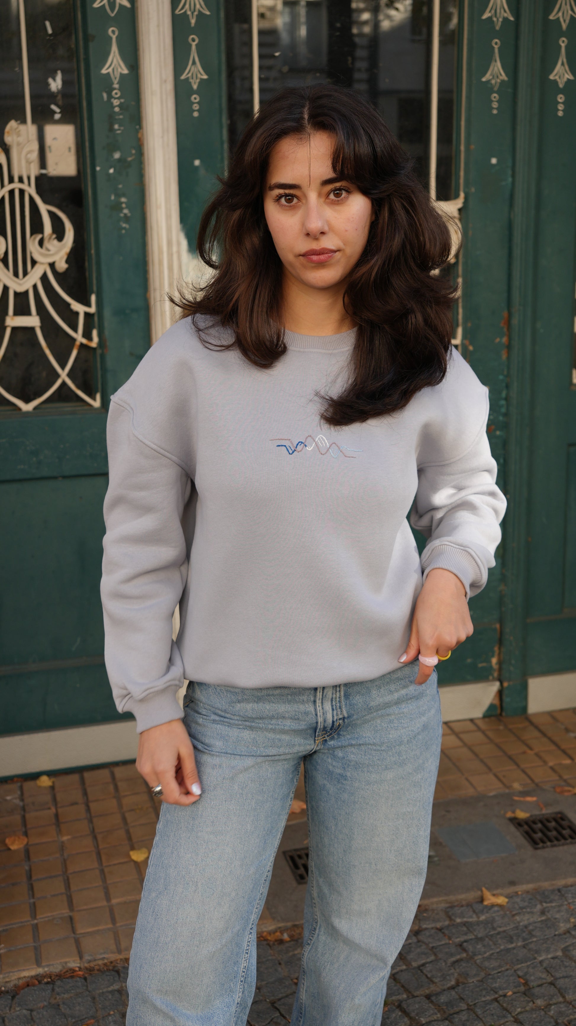 Momeni Vivaldi Winter Grey Sweatshirt front view detail showing hand embroidery pattern